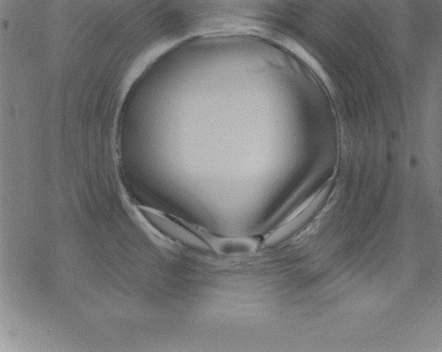 X0000078251485200612011617