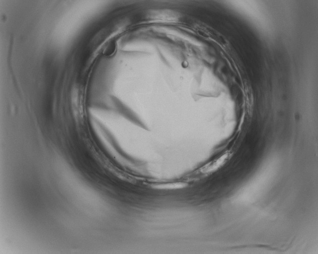X0000078251487200612011617