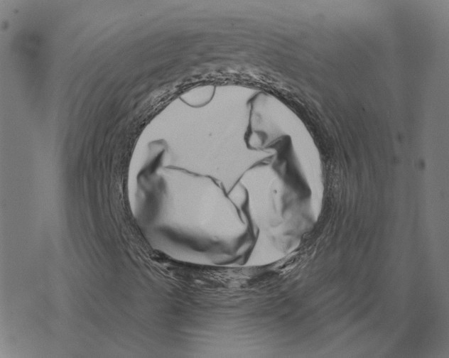 X0000078251489200612011616