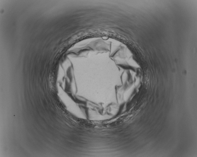 X0000078251490200612011616