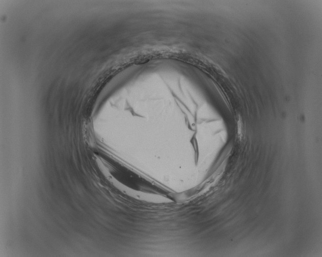 X0000078251492200612011616