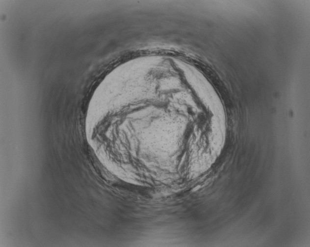 X0000078251493200612011616