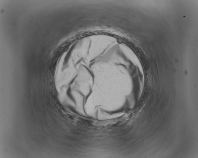 X0000078251494200612011616