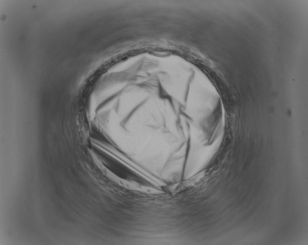 X0000078251496200612011616