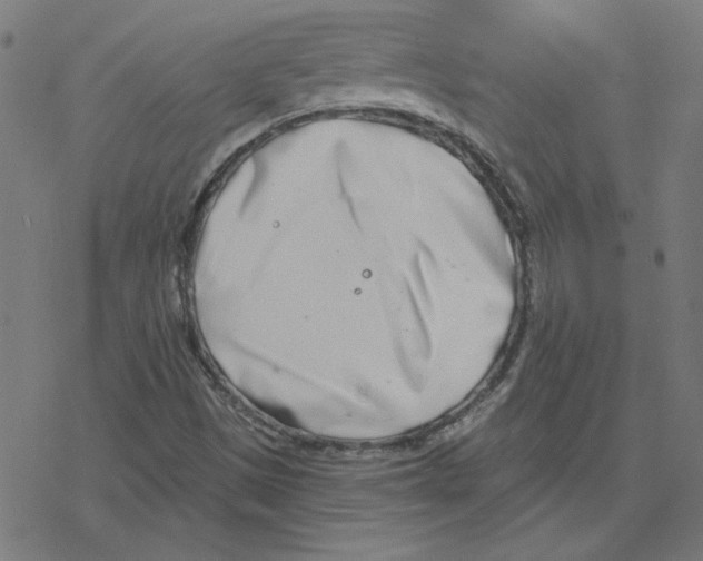 X0000078251497200612011616
