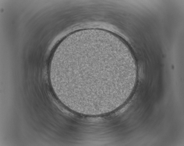 X0000078251498200612011616