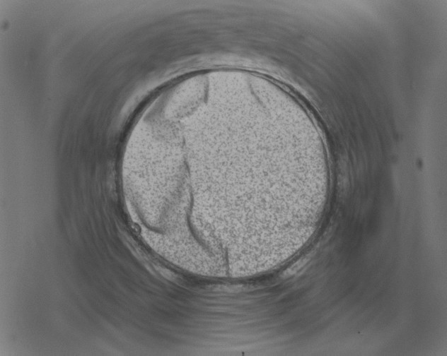 X0000078251499200612011616