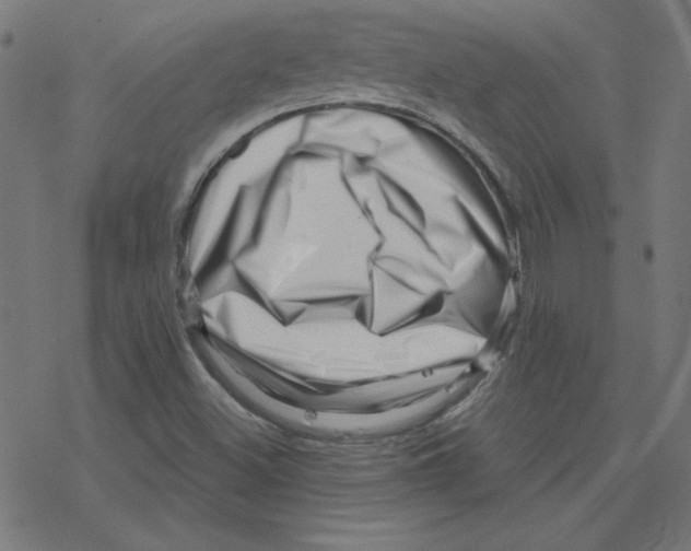 X0000078251500200612011616