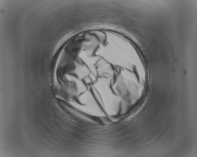 X0000078251501200612011616