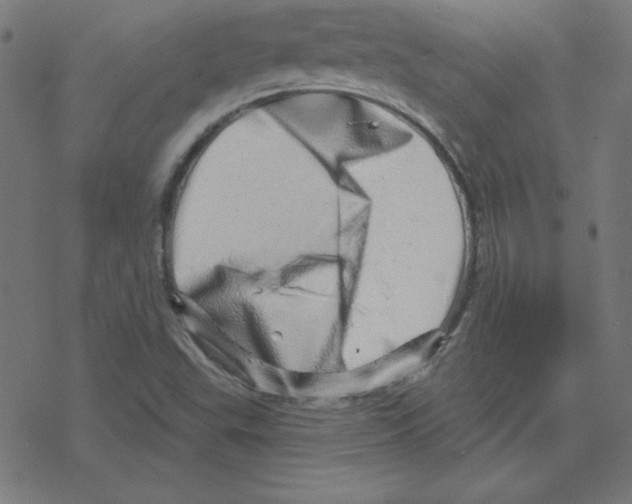 X0000078251503200612011616