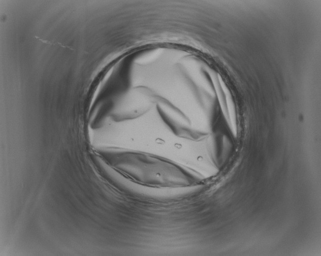 X0000078251505200612011616