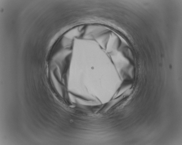 X0000078251509200612011616