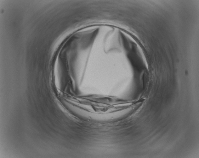 X0000078251511200612011616