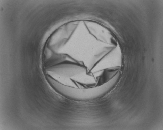 X0000078251512200612011616