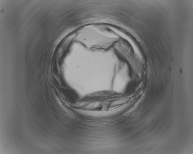 X0000078251513200612011617