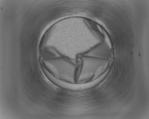 X0000078251516200612011617
