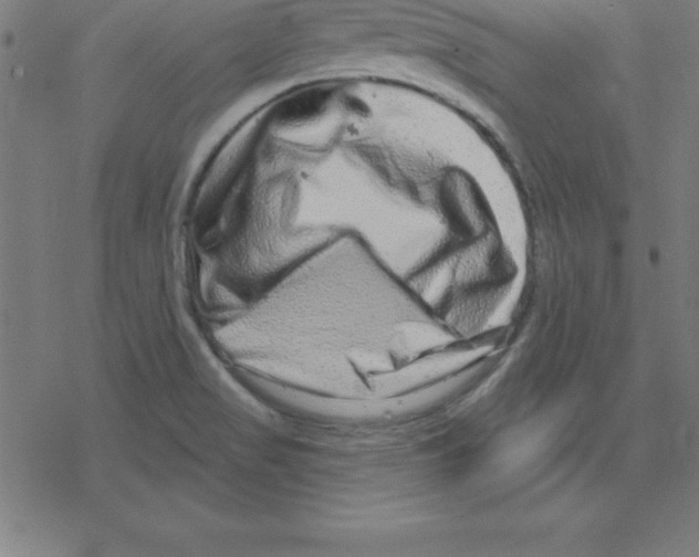 X0000078251517200612011617