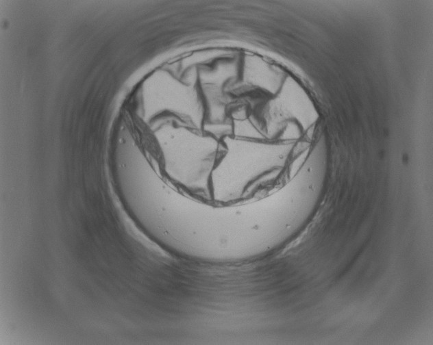 X0000078251518200612011617