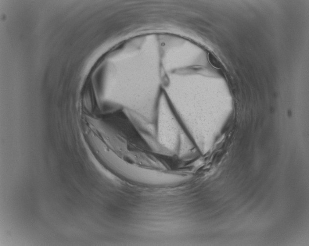 X0000078251519200612011617
