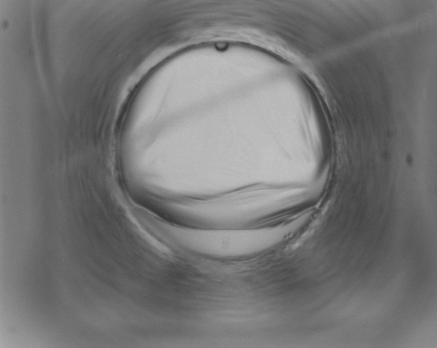 X0000078251525200612011617