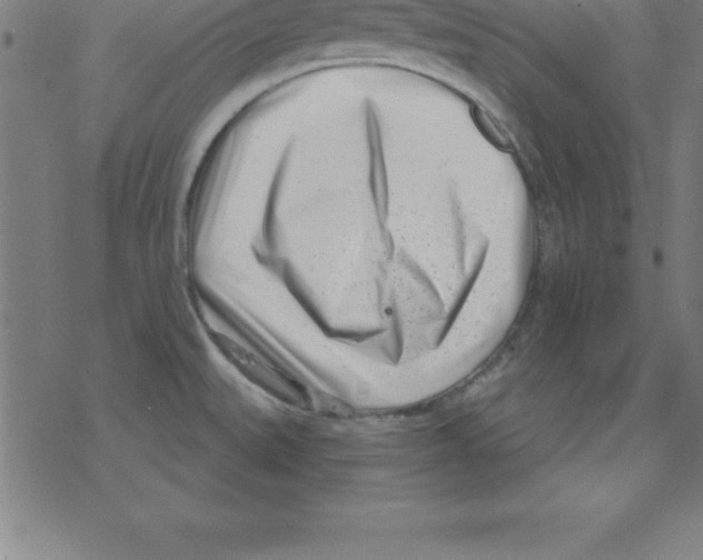 X0000078251527200612011617