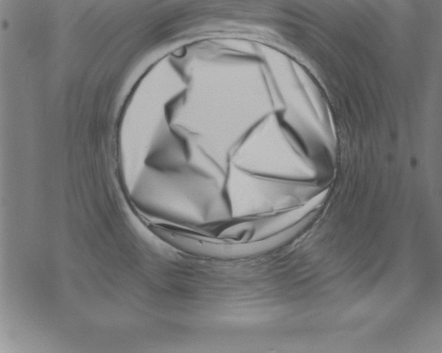 X0000078251531200612011617