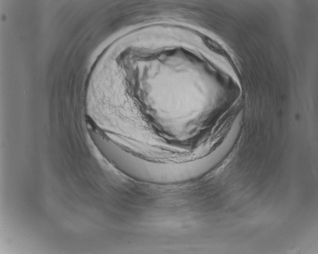 X0000078251534200612011617