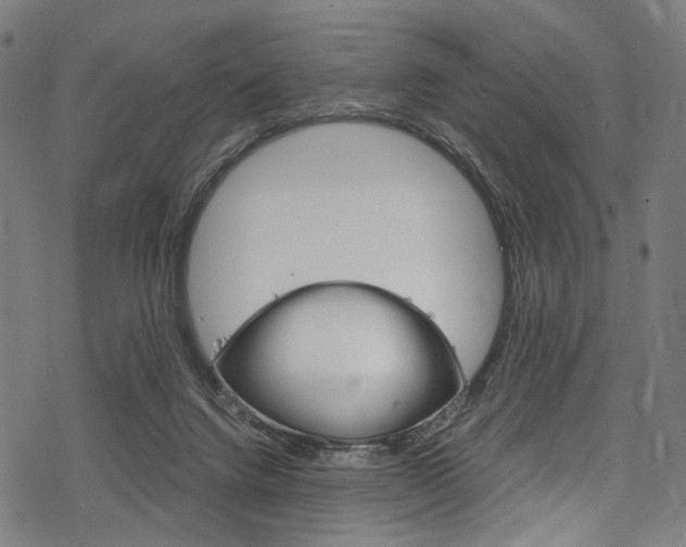 X0000078260072200611030930