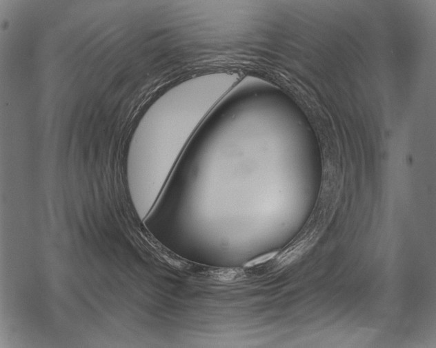 X0000078260096200611030931