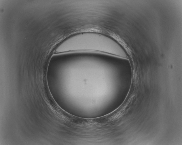 X0000078260201200611030928