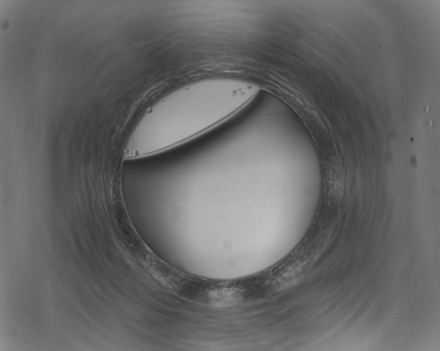 X0000078260216200611030928