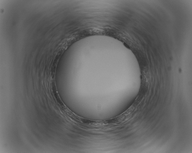 X0000078260223200611030928