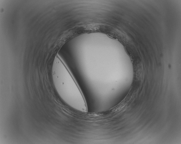 X0000078260229200611030927