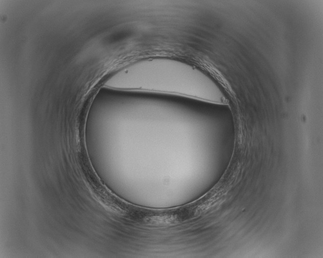 X0000078260251200611030927