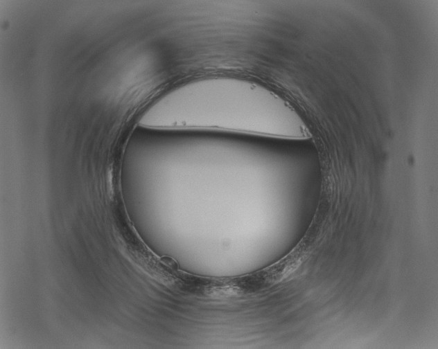X0000078260262200611030927