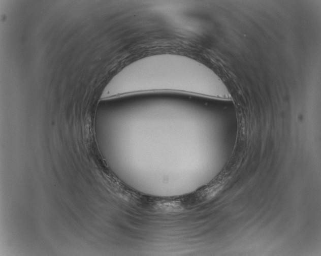 X0000078260283200611030927