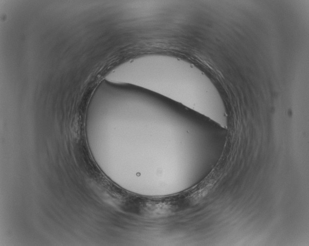 X0000078260311200611030926