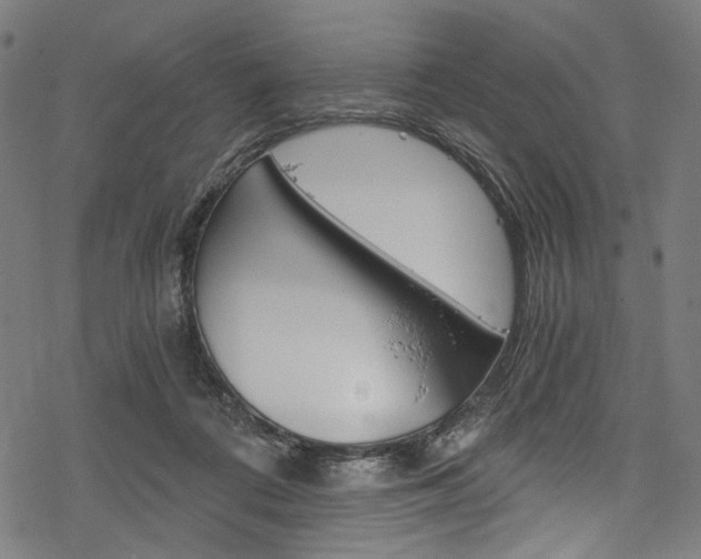 X0000078260312200611030926