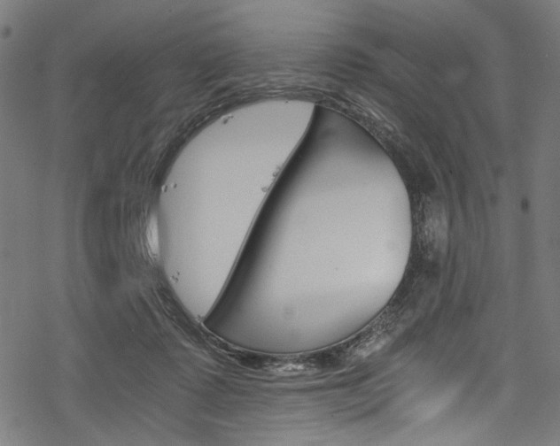 X0000078260315200611030926