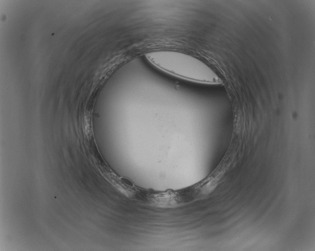 X0000078260335200611030926