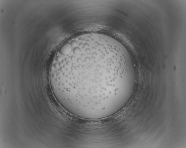 X0000078260354200611030925