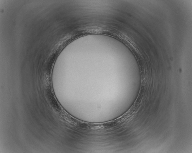 X0000078260355200611030925