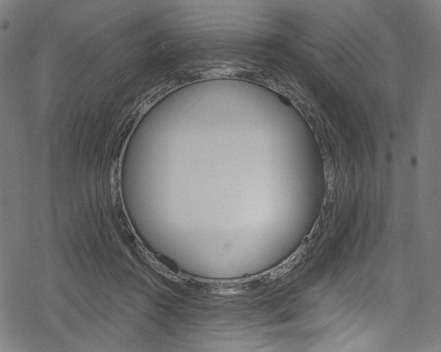 X0000078260360200611030925