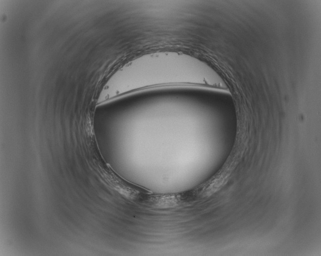 X0000078260384200611030926