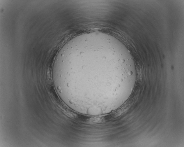 X0000078260418200611030924