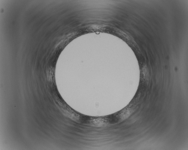 X0000078260423200611030924