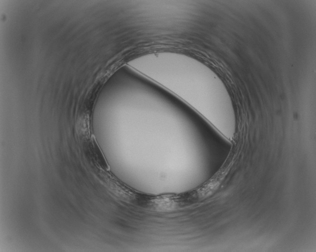 X0000078260425200611030924