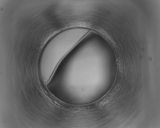 X0000078260434200611030923