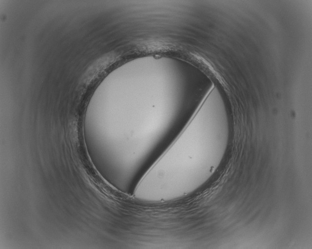 X0000078260447200611030924