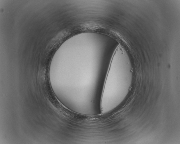 X0000078260451200611030924